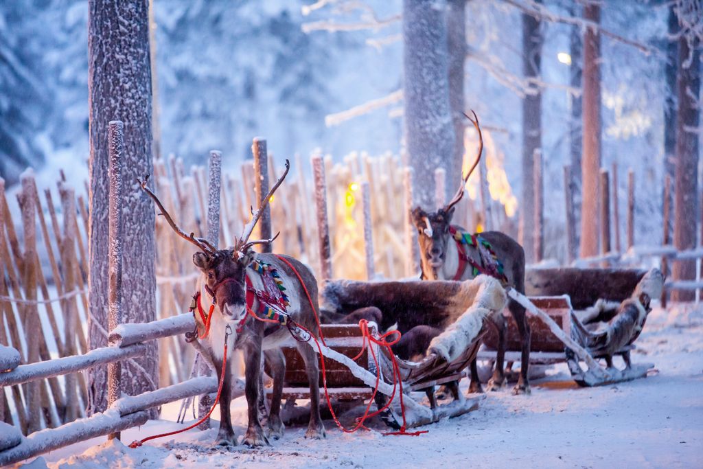 The Ultimate Guide To Christmas in Lapland [2023]